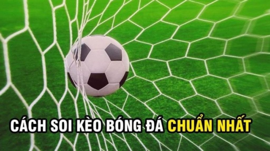 Chọn kèo phù hợp quyết định nhiều đến kết quả cược