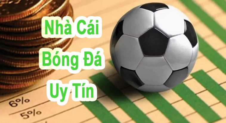 Người chơi nên lựa chọn nhà cái uy tín trước khi tham gia đặt cược