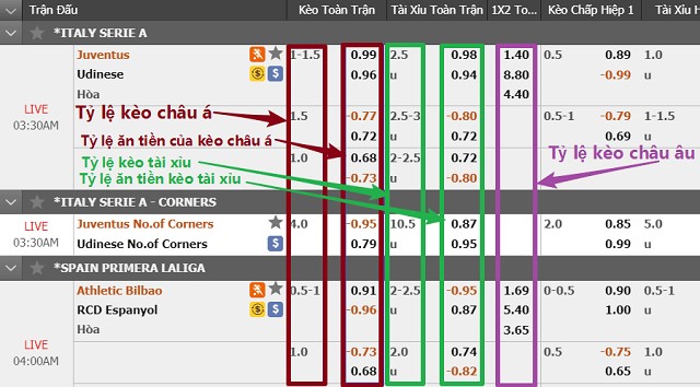 Hướng dẫn xem tỷ lệ kèo bóng đá Tây Ban Nha chính xác nhất