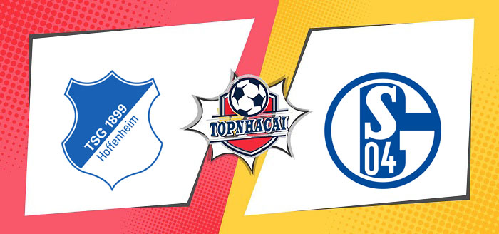 Kèo nhà cái Hoffenheim vs Schalke 04 – 00h30 10/04/2023 – VĐQG ĐỨC