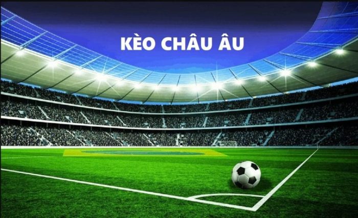 cách đọc kèo bóng đá châu âu đơn giản hợp với cả người mới