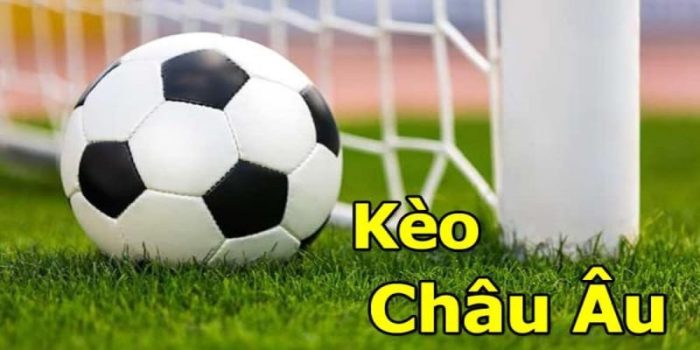 cách đọc kèo bóng đá châu âu: Tổng hợp thông tin trận đấu để đặt kèo 1x2 chuẩn hơn 