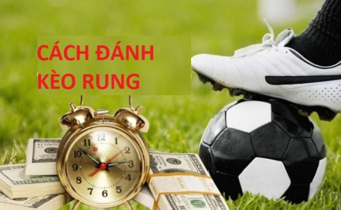 cách đọc kèo rung bóng đá