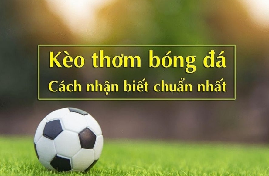 Hướng dẫn cách đánh kèo xiên ngon hôm nay hiệu quả