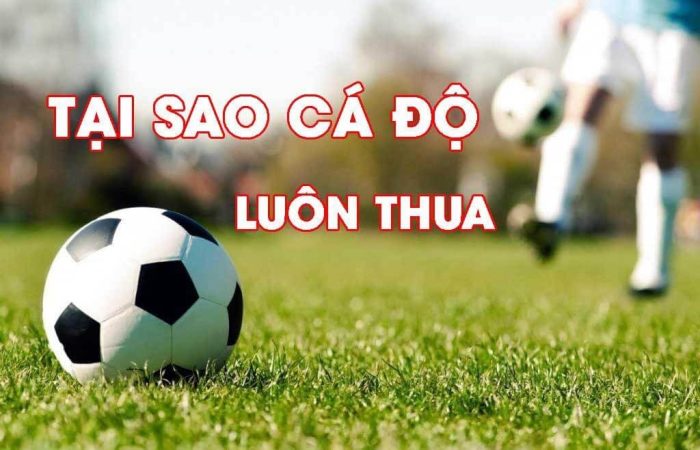 vì sao cá độ bóng đá luôn thua